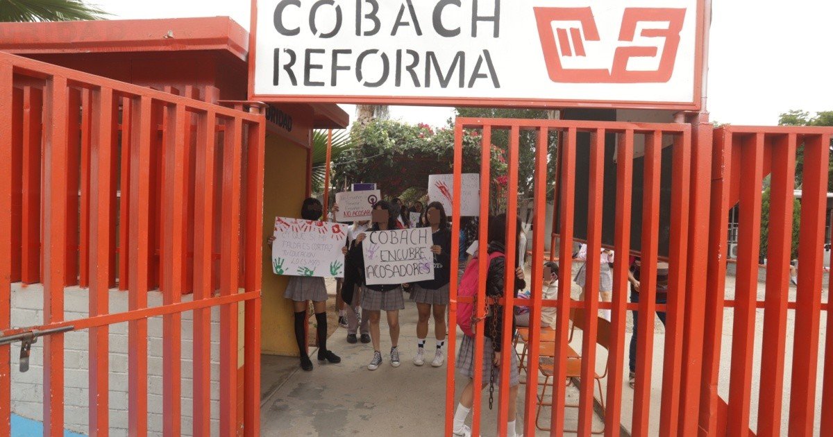 Cedh Solicit A Cobach Reforma Separar A Maestro Del Cargo Tras Ser