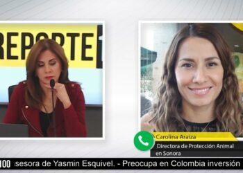 Campaña contra el uso de pirotecnia en Año Nuevo en Hermosillo, Guaymas y Navojoa | REPORTE 100