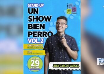 Fundación Pata de Perro hará un evento para ayudar a perros con tumores