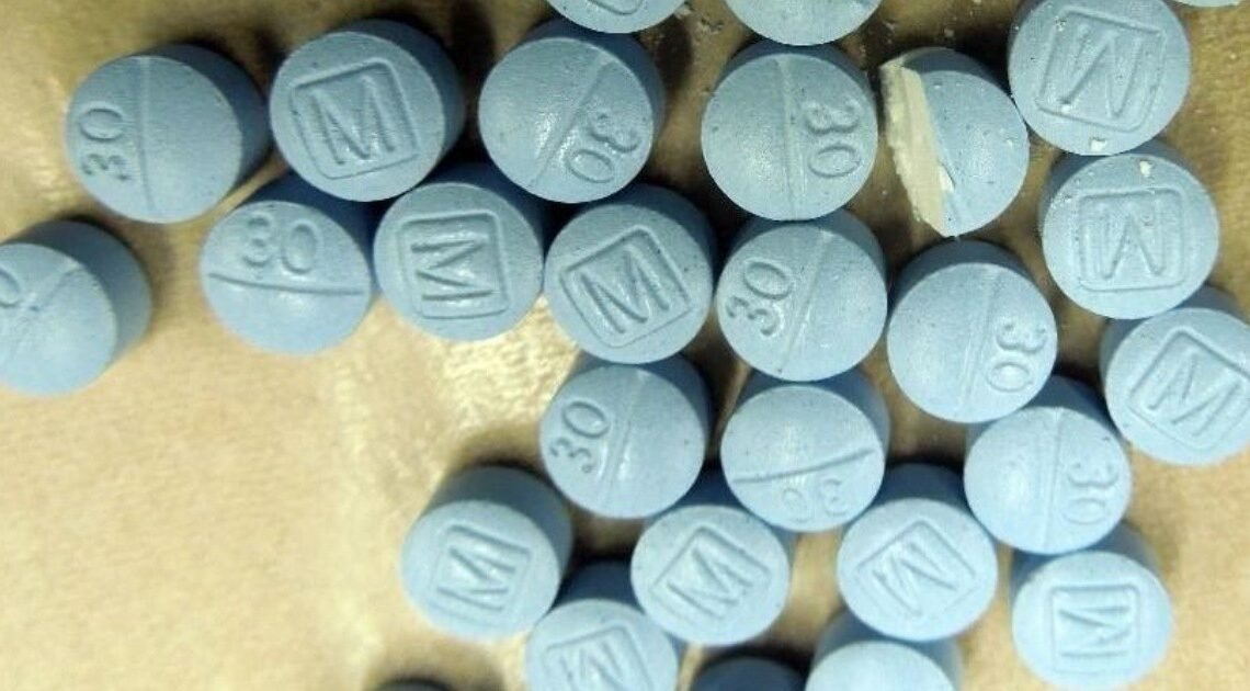 Decomisan más de 63 mil pastillas de posible fentanilo en Puesto Militar de Seguridad Estratégico “Querobabi” | Noticias de Sonora