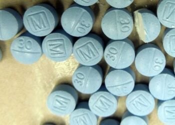 Decomisan más de 63 mil pastillas de posible fentanilo en Puesto Militar de Seguridad Estratégico “Querobabi” | Noticias de Sonora