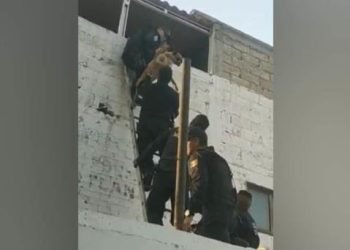 Policías forman cadena para rescatar a perros atrapados en incendio