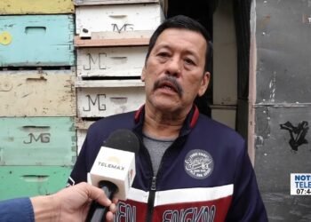 ¿Cuántas colmenas son utilizadas en hermosillo para la producción de miel?