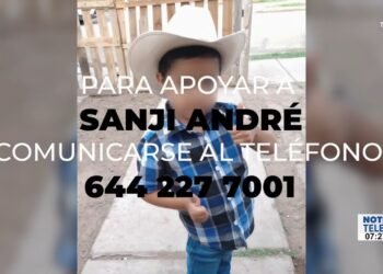 Pequeño fue atacado por un perro y necesita múltiples cirugías
