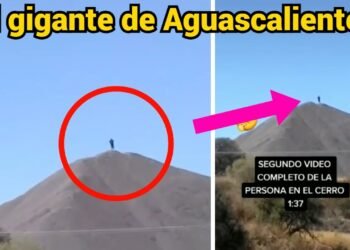 Trailero grabo al gigante de Aguascalientes