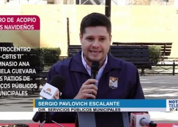 Autoridades instalan varios centros de acopio para los pinos navideños