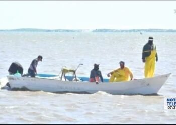 Pescador pierde la vida al ser atacado por un tiburón