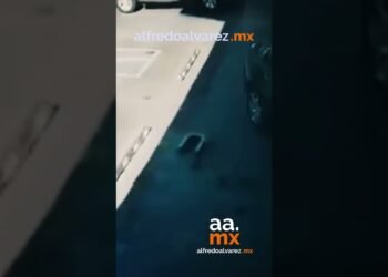 En Hermosillo se metió con todo y carro