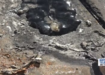 Hace dos meses ciudadanos de colonias al Norte de la ciudad cuentan con aguas negras
