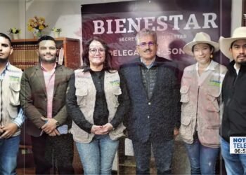 Más de 5 millones de árboles forestales se plantarán en Sonora