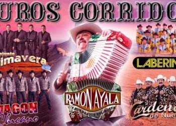 Ramón Ayala, Cadetes de Linares, Terribles Del Norte, Cardenales de Nuevo León, Primavera, Intocable