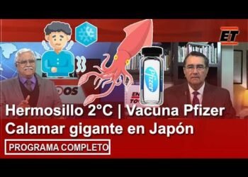 24 enero | Hermosillo 2°C | Vacuna Pfizer | Calamar gigante en Japón