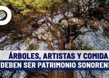 Declarar patrimonio cultural árboles, artistas y comida sonorense, propone cronista de Hermosillo