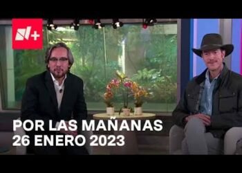 Por las Mañanas I Programa Completo 26 Enero 2023
