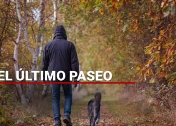 #MientrasDormía | Asesinan a un hombre mientras paseaba a sus perros, en #Coyoacán.