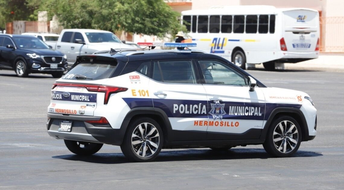 Reportan el robo de dos yeguas en la colonia Antorcha Campesina de Hermosillo Reportan el robo de dos yeguas en la colonia Antorcha Campesina de Hermosillo