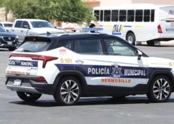 Reportan el robo de dos yeguas en la colonia Antorcha Campesina de Hermosillo