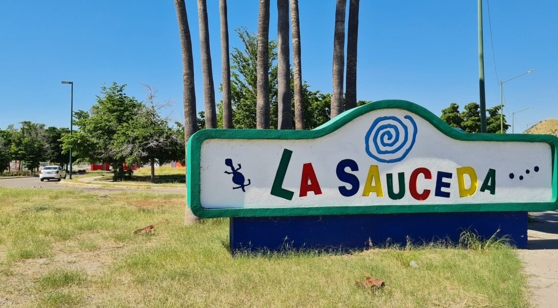 Remozan parque La Sauceda para continuar con el humedal