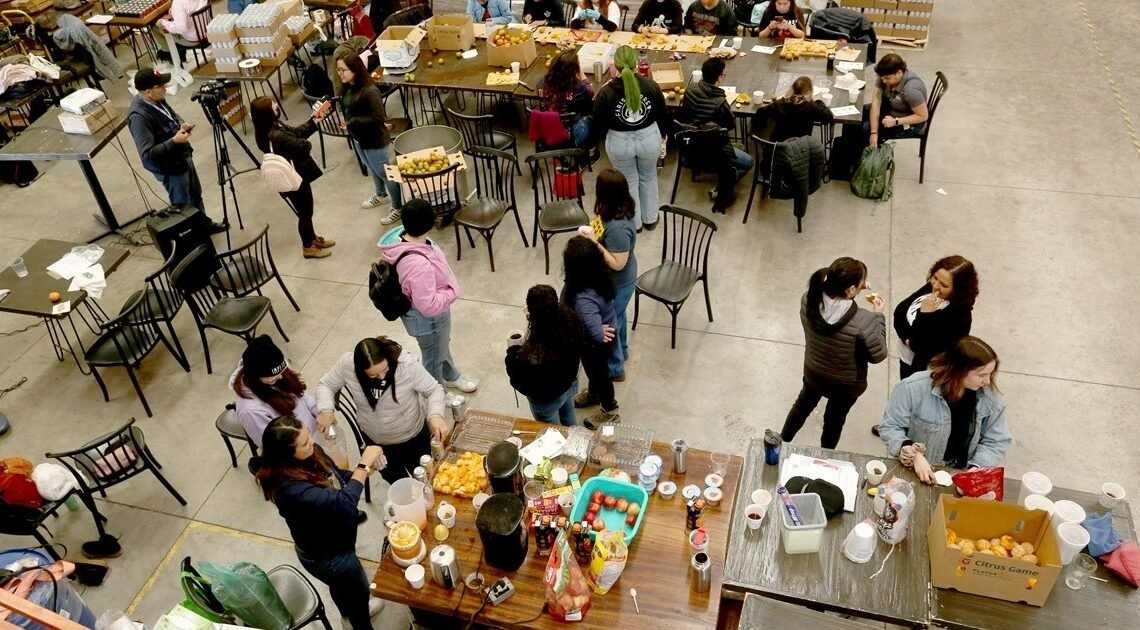 Realizan mujeres cerveza Impetuosa en Hermosillo