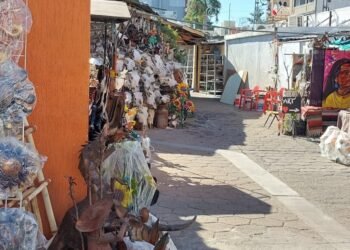 Logran sobrevivir ‘curious’ de Nogales pese a la adversidad