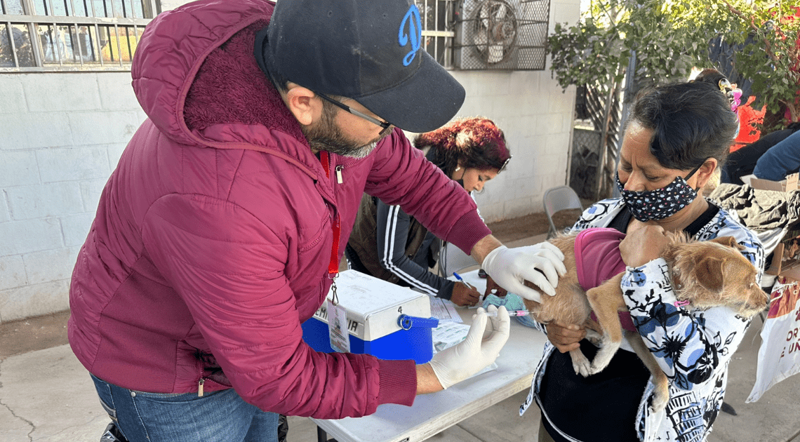 Realiza SS dos jornadas de Salud Animal Canina y Felina en Hermosillo