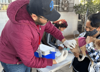 Realiza SS dos jornadas de Salud Animal Canina y Felina en Hermosillo