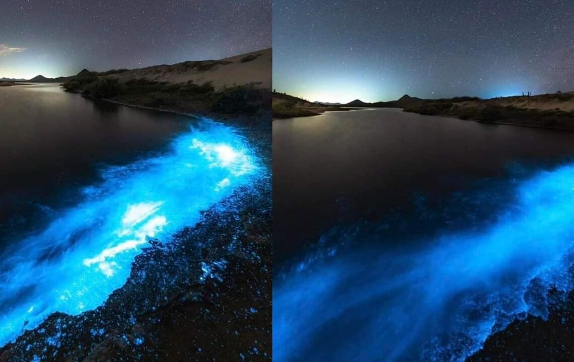 Fenómeno de bioluminicencia se dio en la playa de Sonora