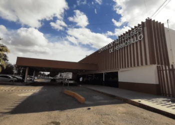 Sufren para encontrar un boleto en las centrales de autobuses de Hermosillo