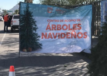 Centros de acopio para pinos navideños tendrán su último día este viernes