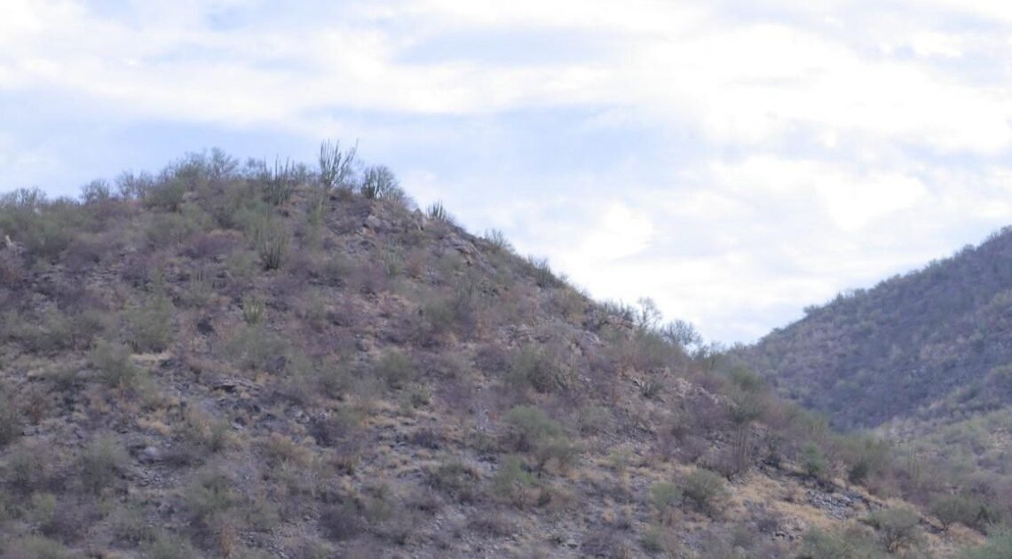 Asaltan a tres mujeres que caminaban en el Cerro del Bachoco Asaltan a tres mujeres que caminaban en el Cerro del Bachoco