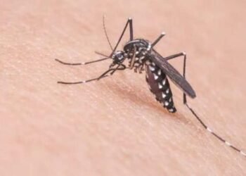 Aumento Casos 2024 en México