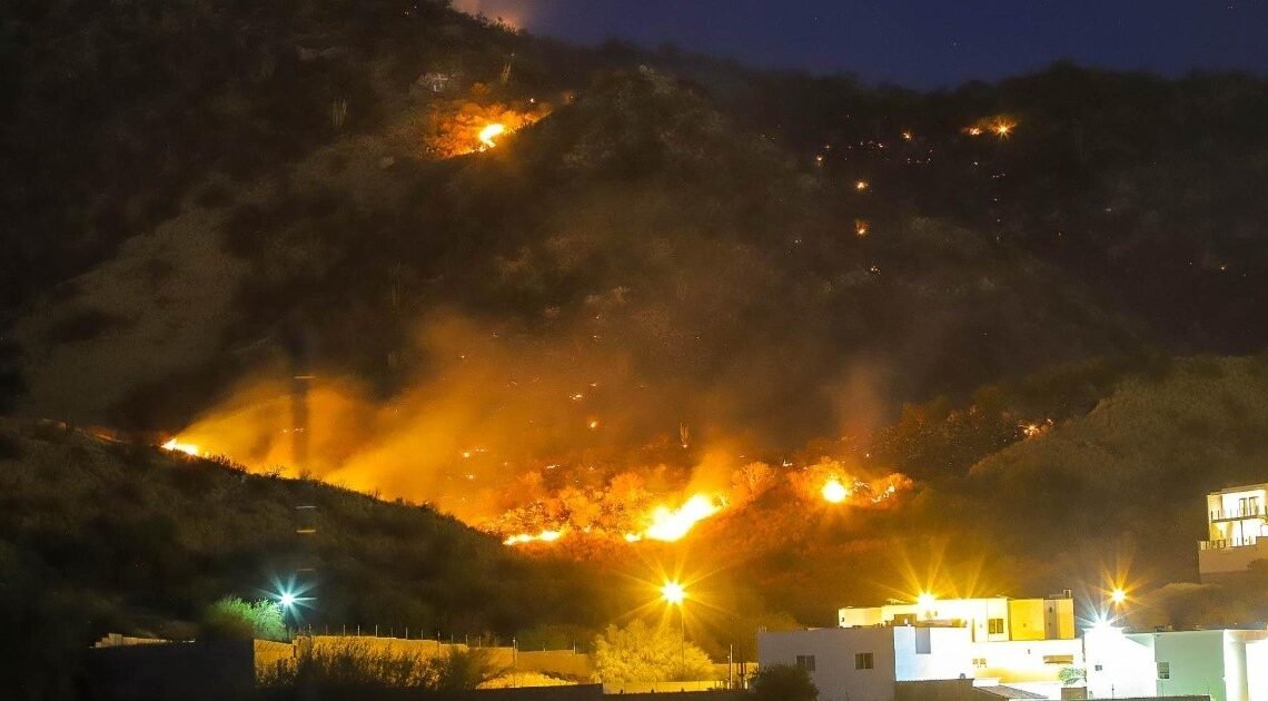 Se incendia Cerro del Bachoco en Hermosillo; reportan varias hectáreas afectadas Se incendia Cerro del Bachoco en Hermosillo; reportan varias hectáreas afectadas