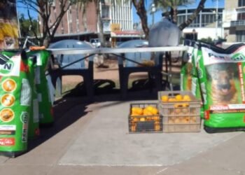 Kolekton busca croquetas para 150 perros en Hermosillo