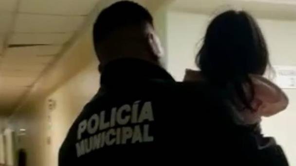¿Qué pasó en Villas del Real? Perro ataca a menor ¿Qué pasó en Villas del Real? Perro ataca a menor