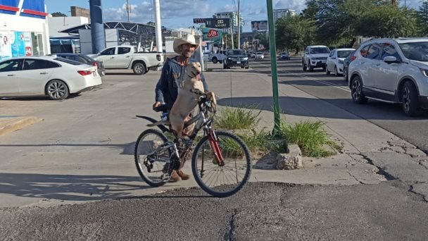 ‘Mesera’ enamora a los automovilistas del Morelos ‘Mesera’ enamora a los automovilistas del Morelos