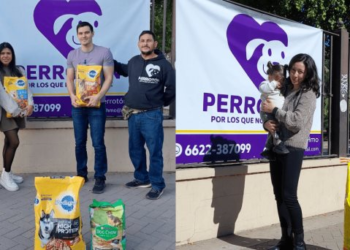 Perrotón en el parque Madero