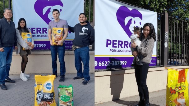 Perrotón en el parque Madero Perrotón en el parque Madero