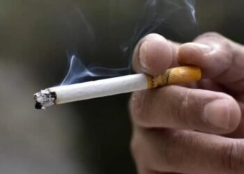 Ley para el Control del Tabaco genera pérdidas del 25% en ventas