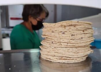 Precios de tortilla no bajarán tras impuesto a exportación de maíz