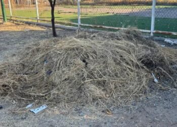 Vecinos de la Colonia Manantiales piden reformar zonas deportivas