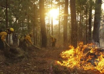¿Qué pasa con el medio ambiente en México?
