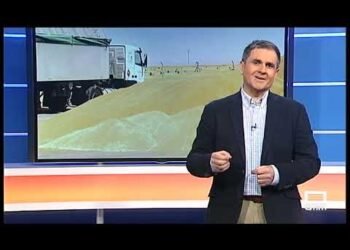 El Campo | Agricultura inmovilizará el ganado frente a la viruela | 06/02/23