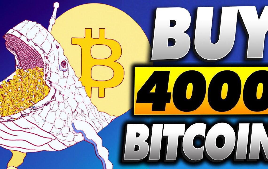 ¡Sorpresa! Una ballena compra 4000 Bitcoin I Feliz cumpleaños, Bitcoin I Análisis precio de Bitcoin