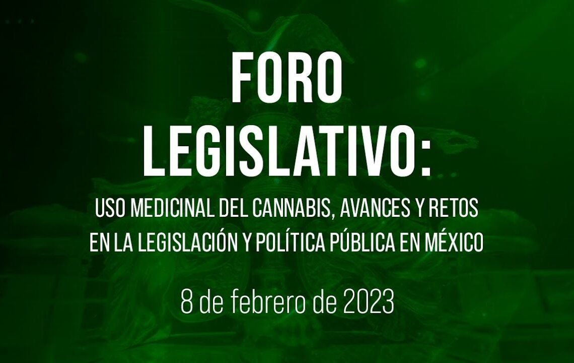 🔴Foro Legislativo: Uso medicinal del cannabis. Avances y retos en la legislación y política pública