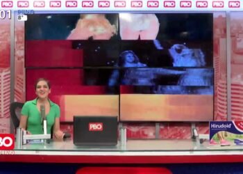 PBO – En Vivo