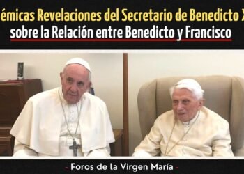 Las Revelaciones del Secretario de Benedicto XVI sobre la Relación de Benedicto con Francisco