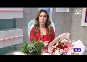 Cómo incluir adaptógenos a nuestra alimentación