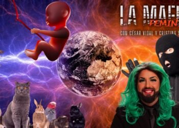 La Mafia Feminista: Las 4 plagas rojas: Aborto, ley animalista, ley trans y suelta de violadores