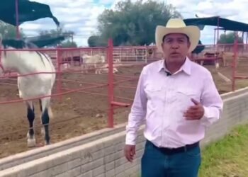 ÉXODO NOTICIAS 23 FEB
