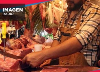 El crecimiento de la industria cárnica en México